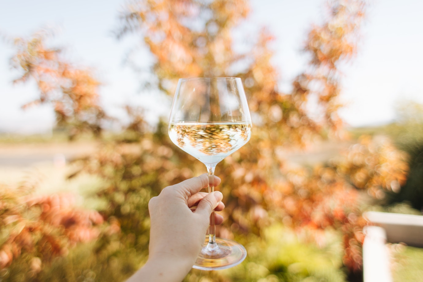 Wine Club Exclusive