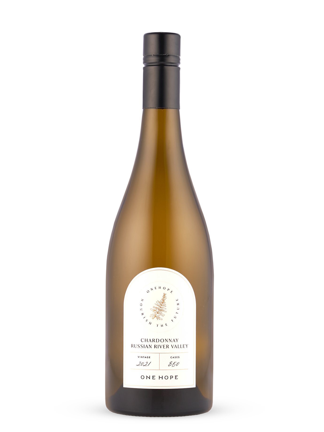 ワイン Mie Ikeno Chardonnay 2021 750ml 2021DomaineMieIkenoChardonnay_ ワイン Mie Ikeno Chardonnay 2021 750ml 2021DomaineMieIkenoChardonnay_