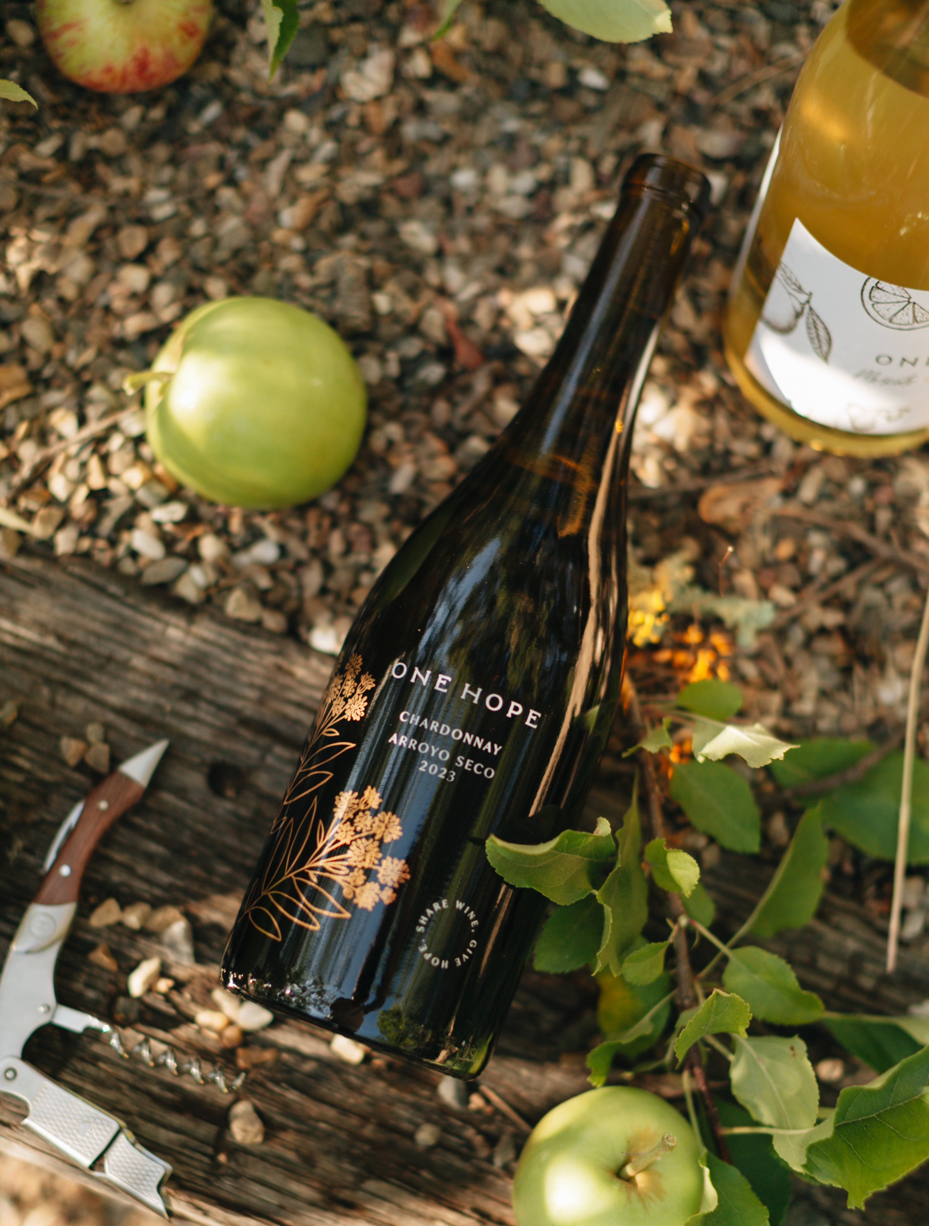 2023 Arroyo Seco Chardonnay | Monterey County White Wine | ONEHOPE