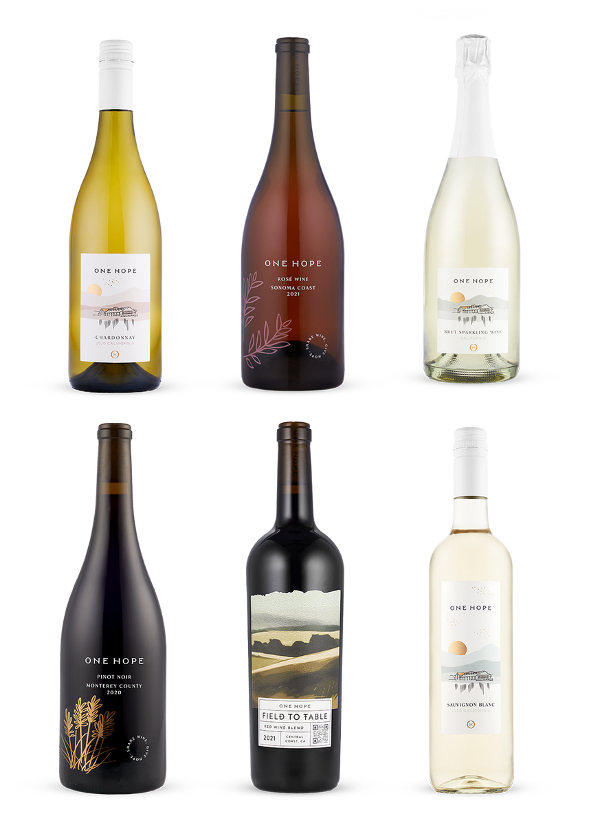 ONEHOPE Wine Best Seller Bundle | Six Fan Favorite Wines | ONEHOPE