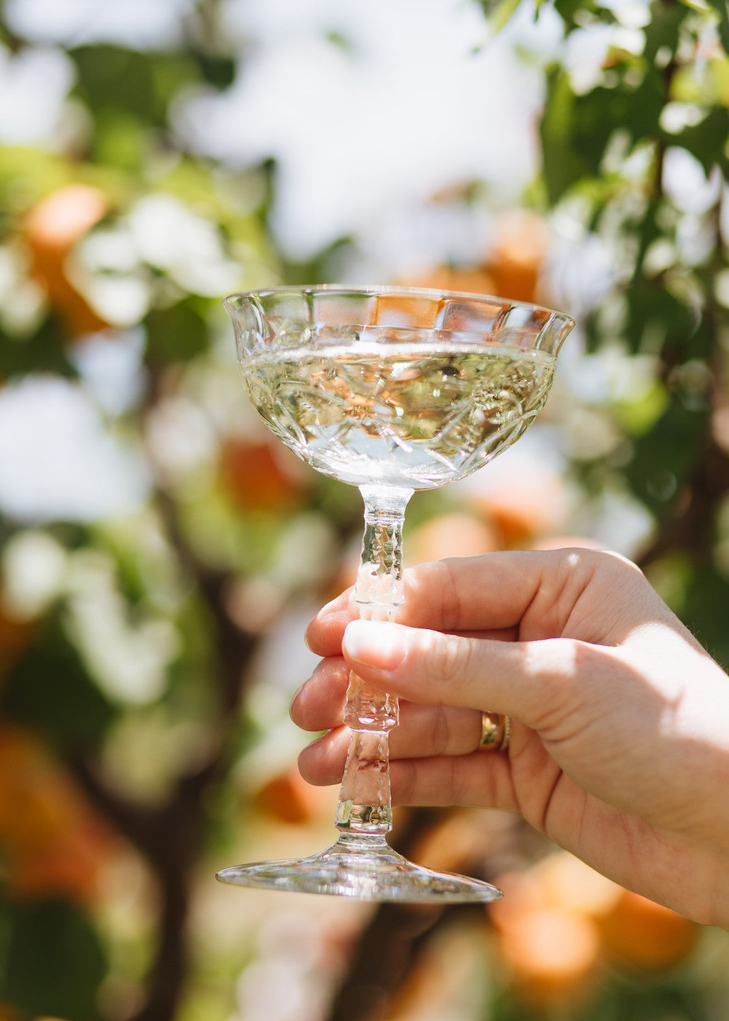 Vintner Moscato 2021 | California White Wines | ONEHOPE Wine