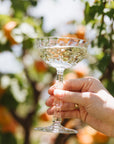 Vintner Moscato 2021