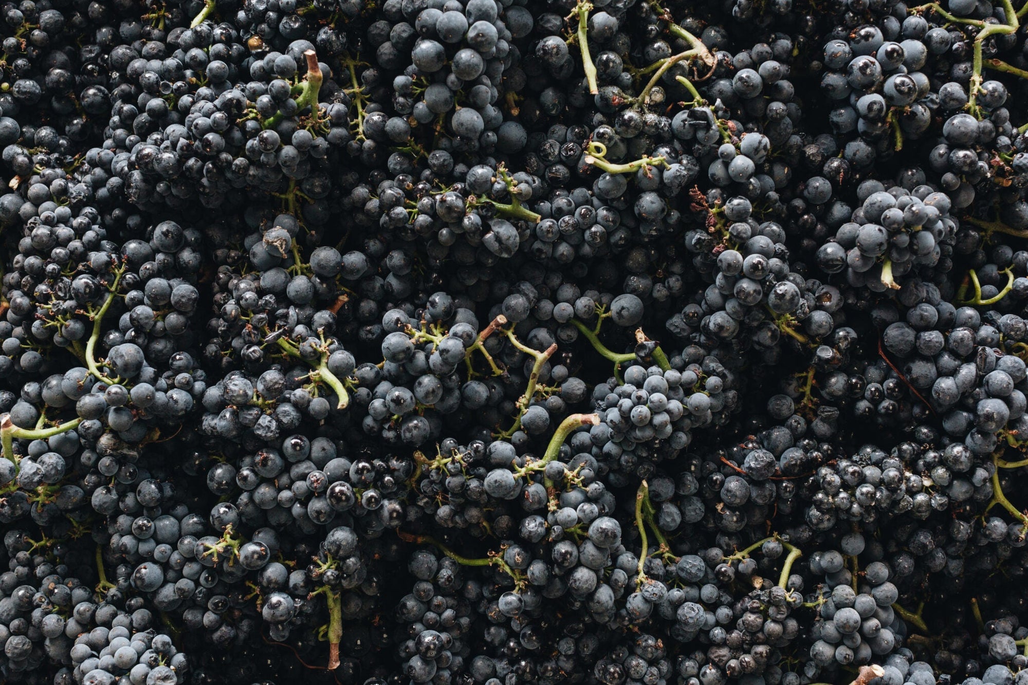 How California Sparkling Rosé Is Made