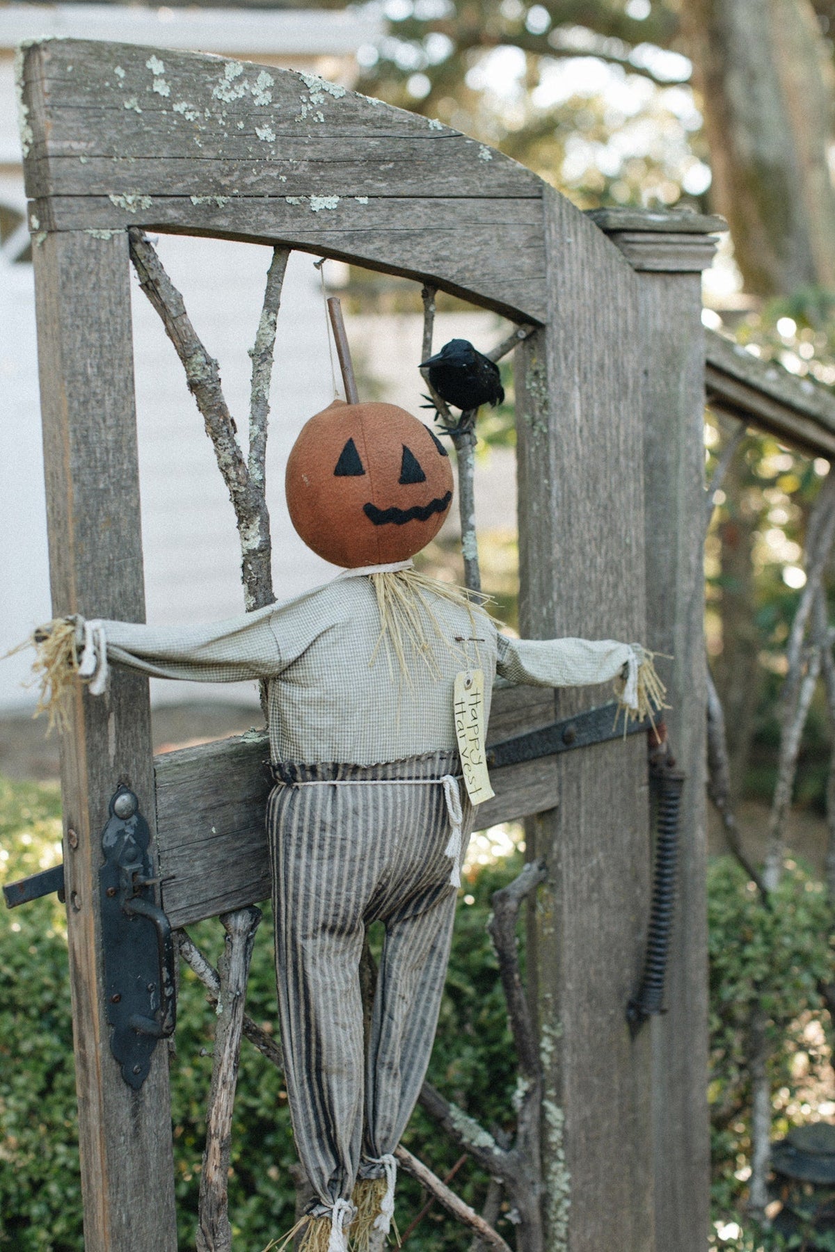6 Halloween Wine and Candy Pairings to Try This Year