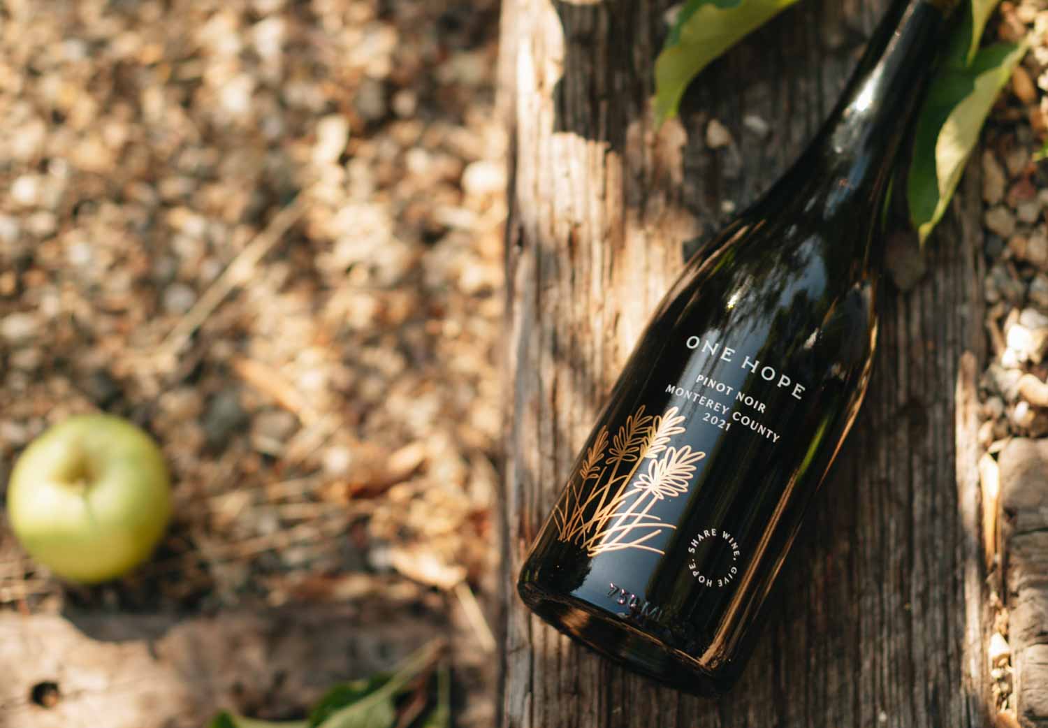 A Soup-er Bowl Pairing