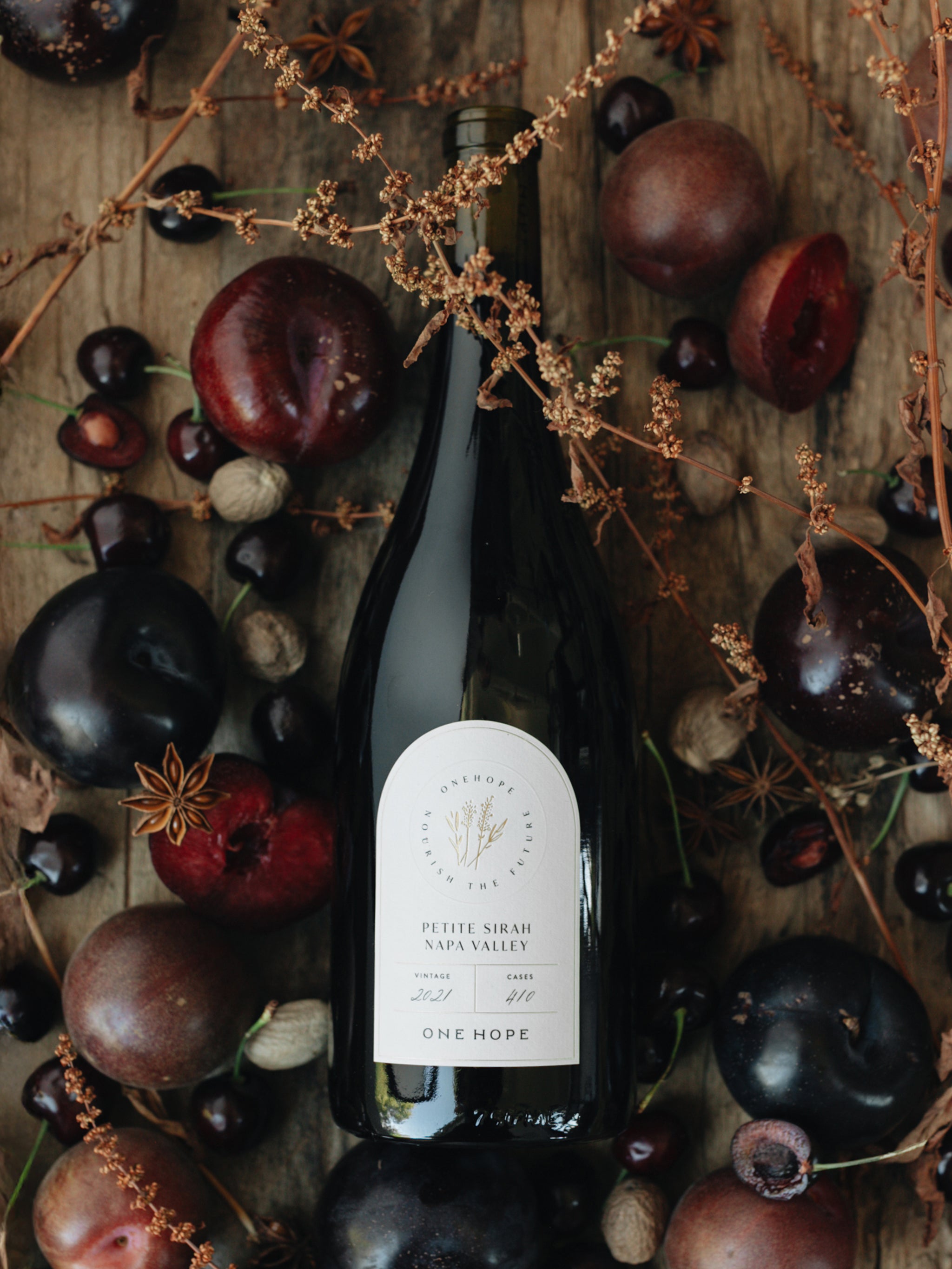 Petite Sirah 2021 | Bold Napa Valley Red Wine | ONEHOPE Wine