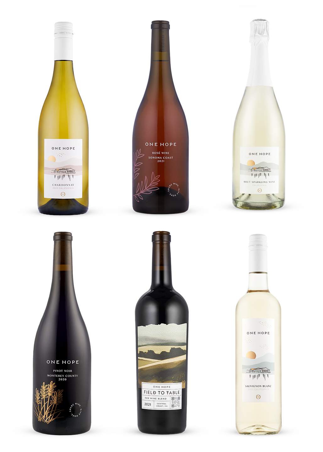 Best Sellers - 12 Bottles - Fixed Bundle