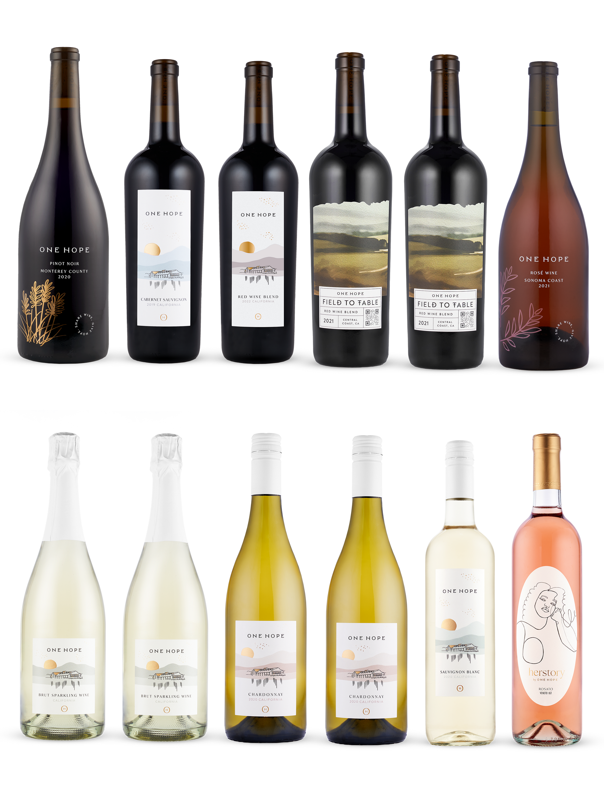 Wine Club 12 Bottles - Tasting Kit