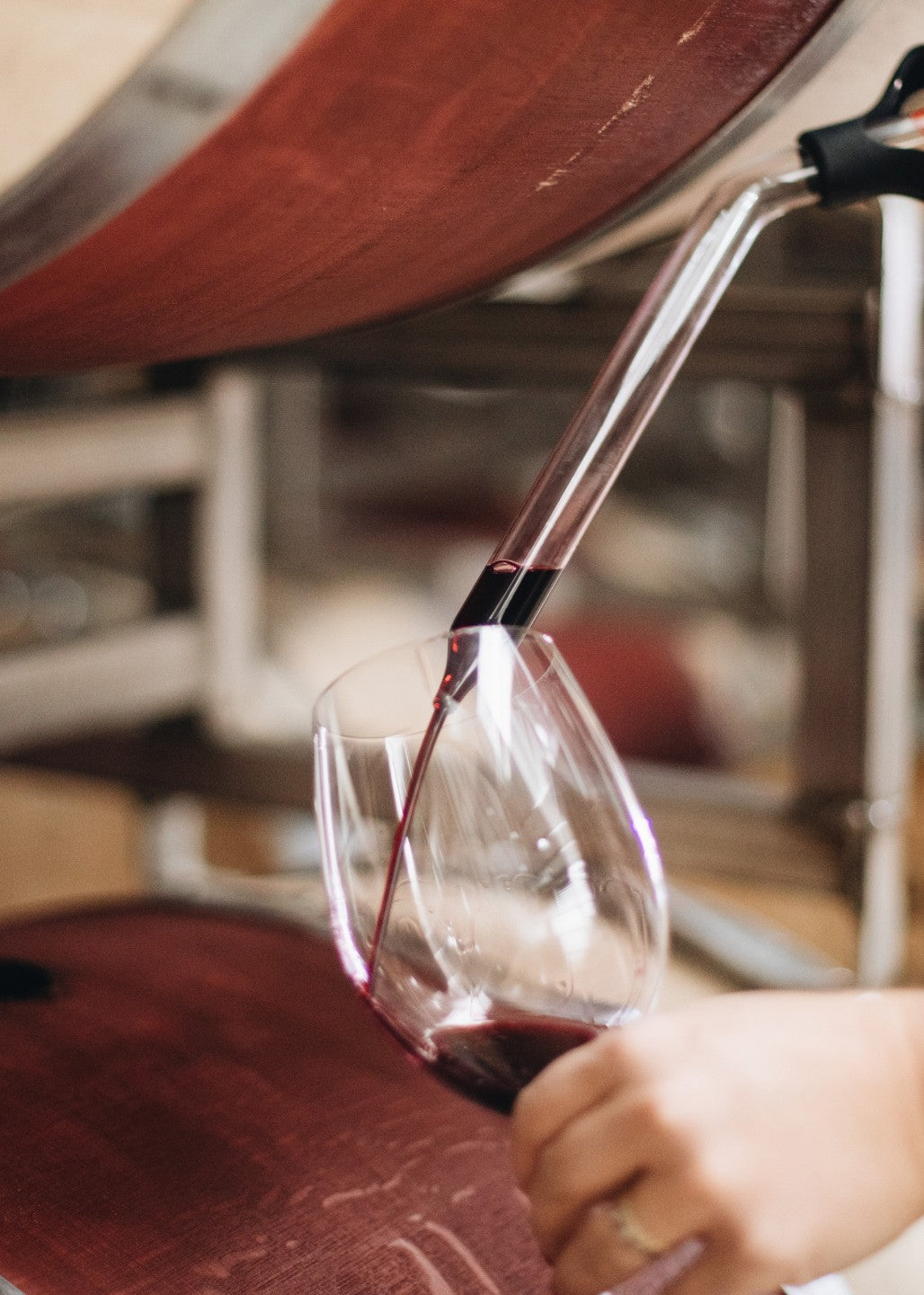 Longevity Cabernet Sauvignon 2016