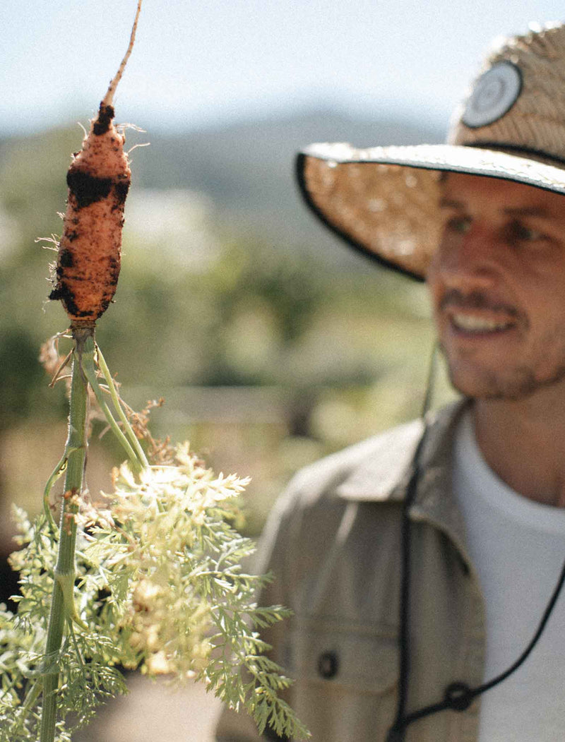 You're Invited to Our Virtual Harvest Event