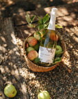 Sparkling Moscato