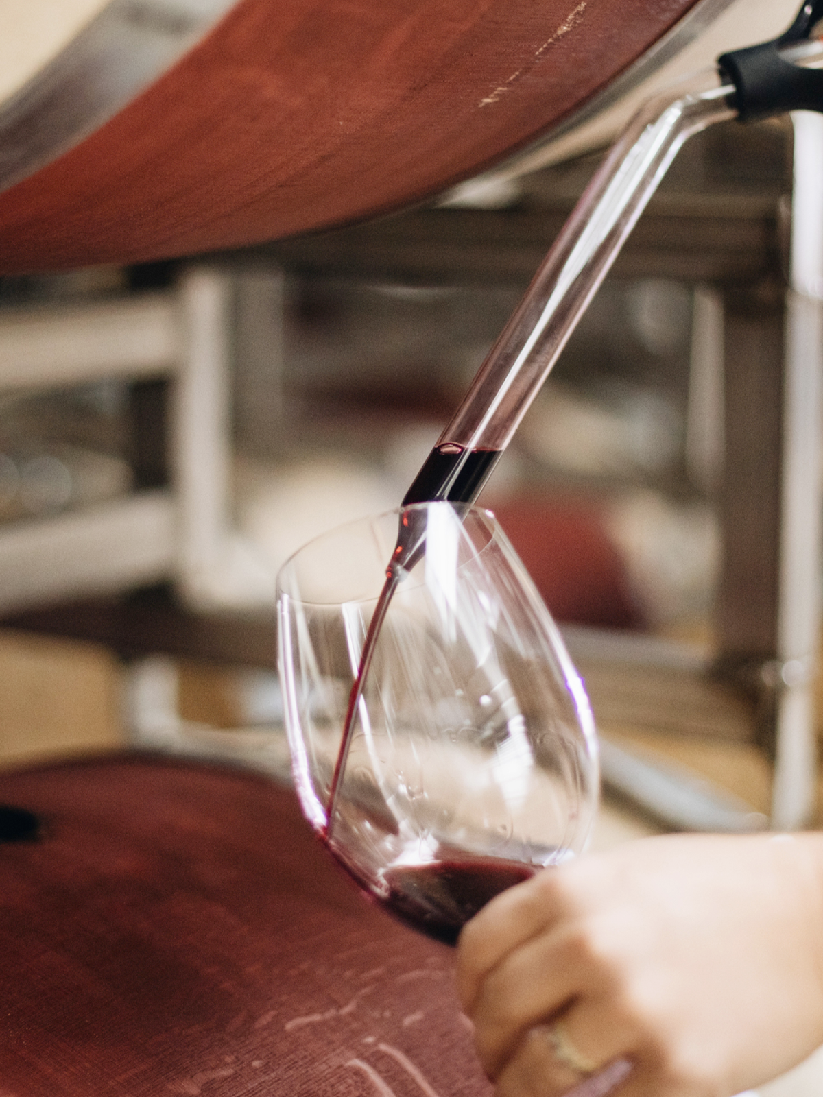 2022 Rutherford Cabernet Sauvignon Visionary Magnum