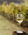 2023 Estate Fumé Blanc